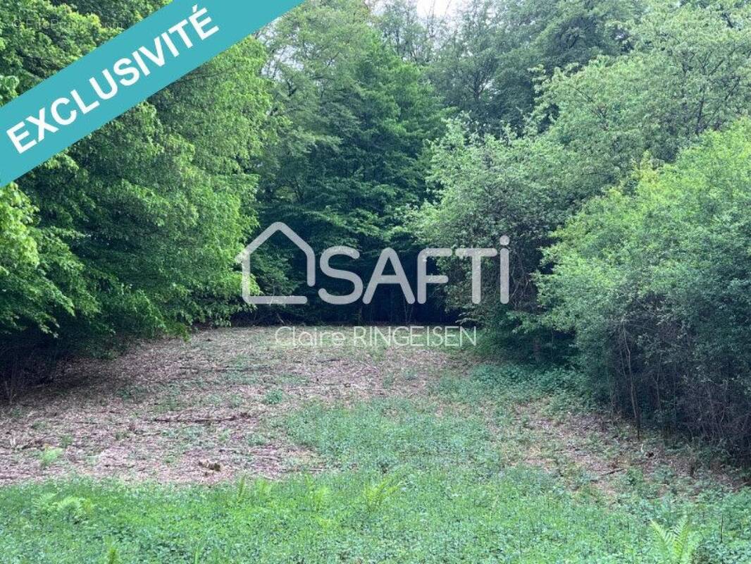 Photo 1 - Terrain à REMERING-LES-PUTTELANGE