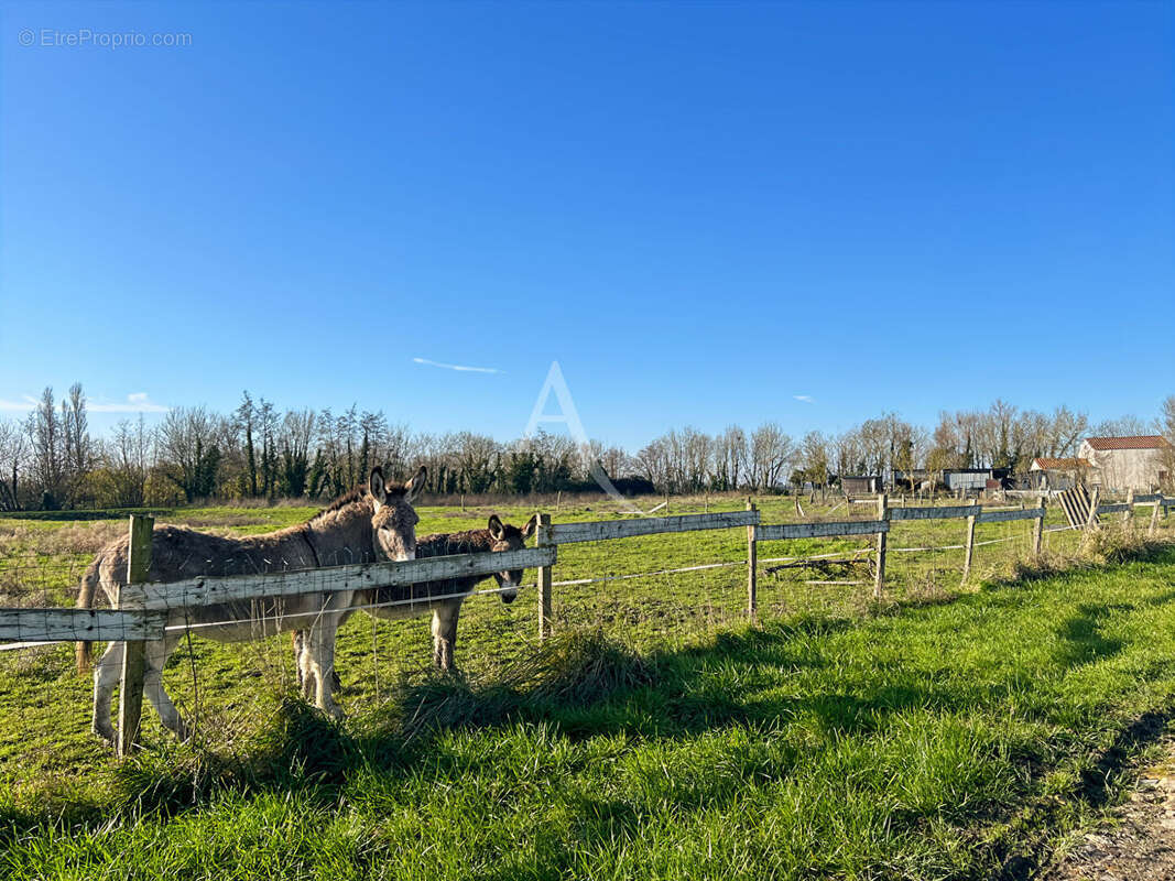 Maison à LE GUE-DE-VELLUIRE