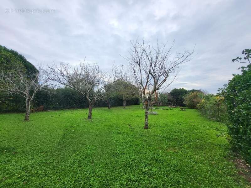 Terrain à MONTAIGUT-SUR-SAVE