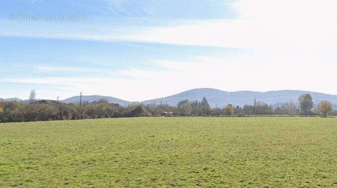 Terrain à MARTRES-TOLOSANE