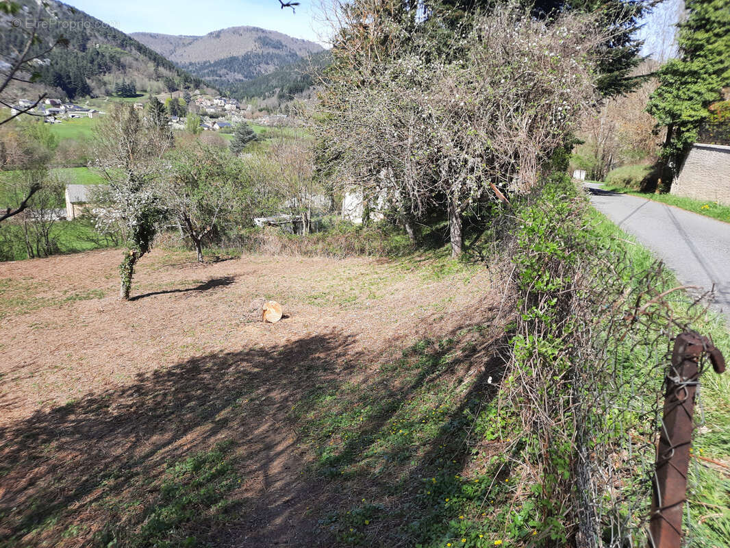 Terrain à SAINT-JEAN-DU-BRUEL