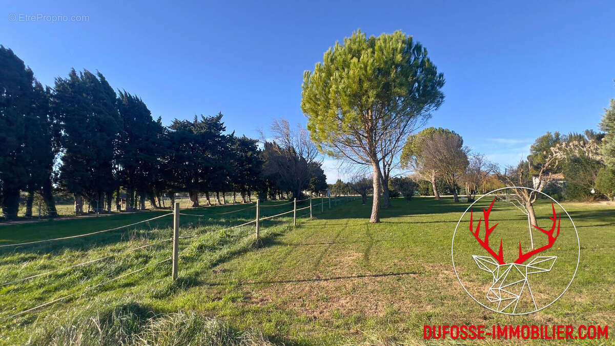 Maison à SAINT-REMY-DE-PROVENCE