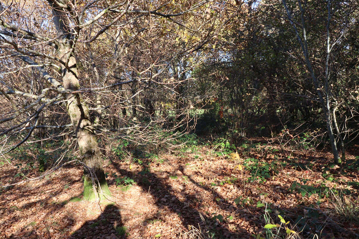 Autre à SAINT-AUGUSTIN