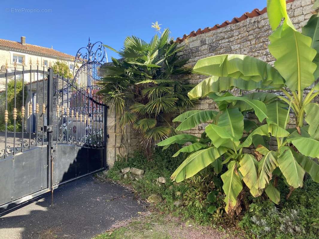 Maison à SALLES-DE-VILLEFAGNAN