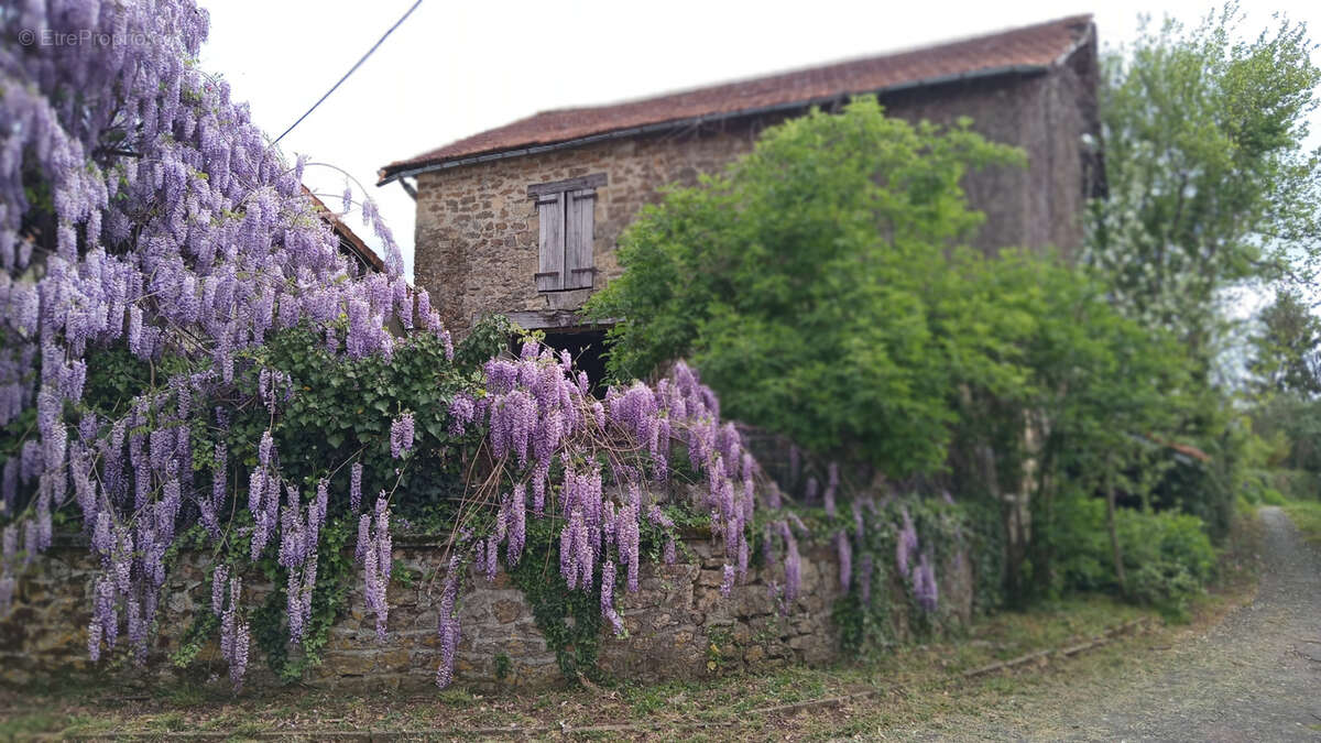 Maison à NANTHEUIL