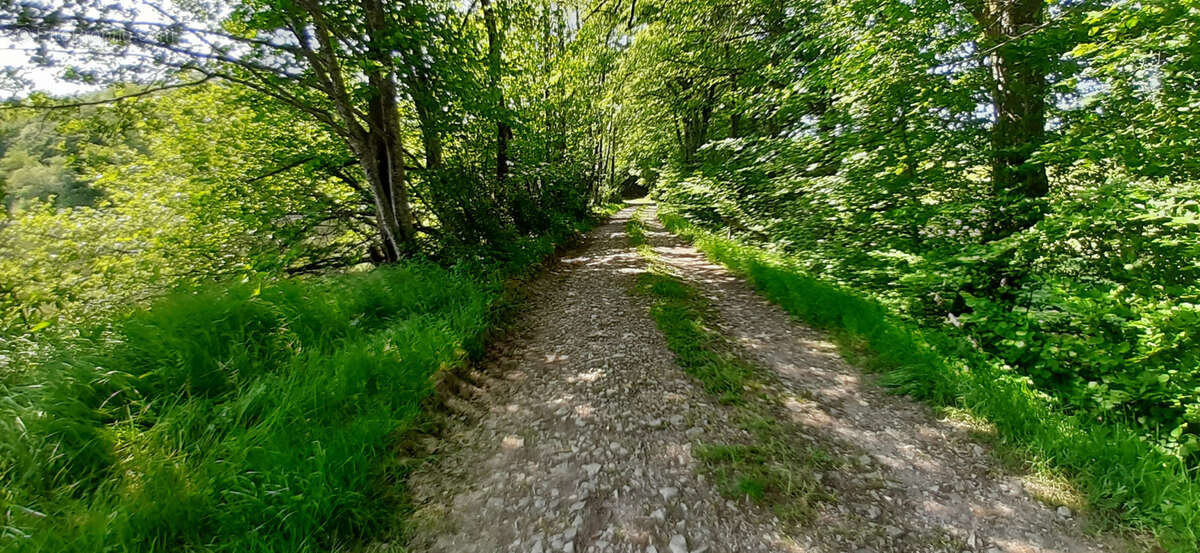 Terrain à PLOMBIERES-LES-BAINS