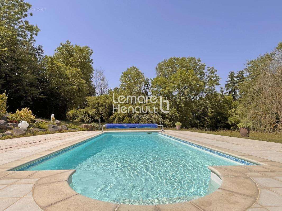 Superbe propriété 6 chambres, piscine sur 6800 m² de terrain - photo 7