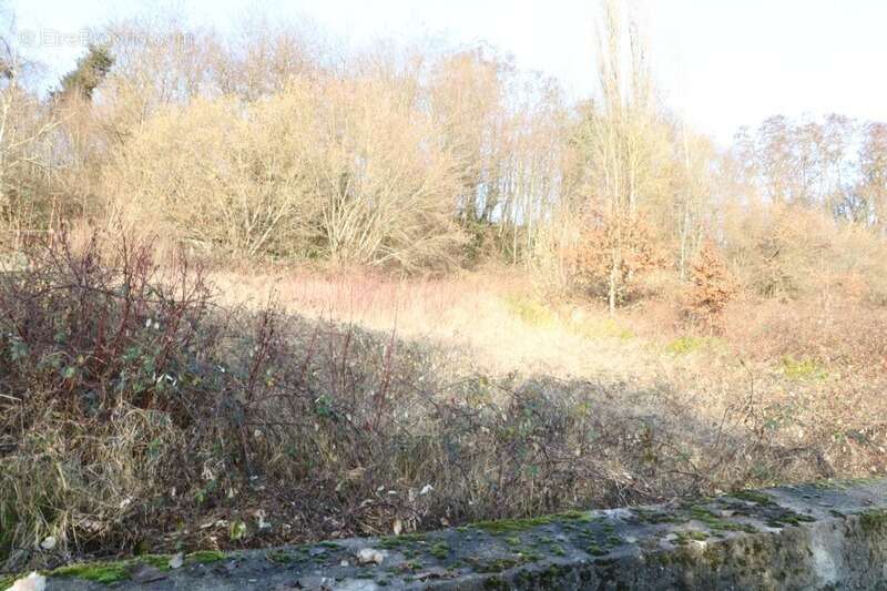 Maison à KEDANGE-SUR-CANNER