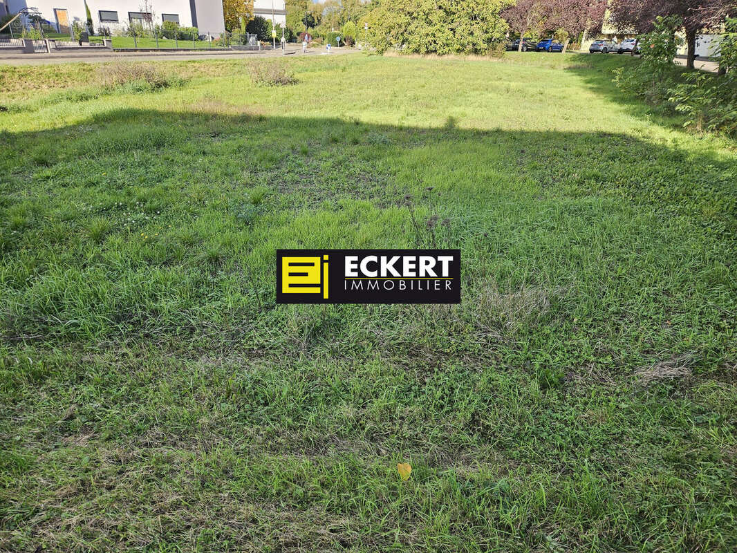 Terrain à MOLSHEIM