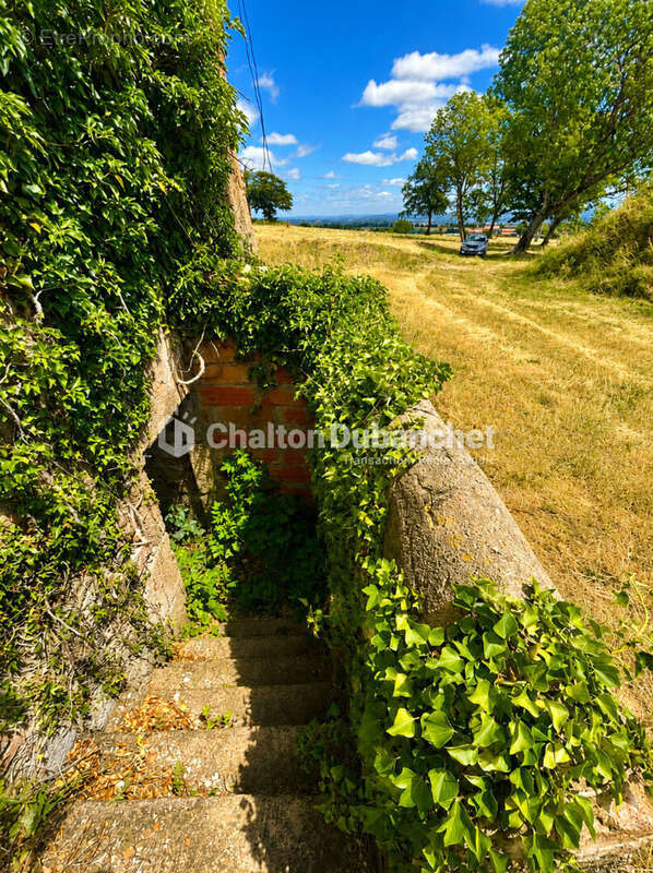 Terrain de 4576 m²  avec deux bâtiments en ruine à MONTAIGUET EN FOREZ - photo 6