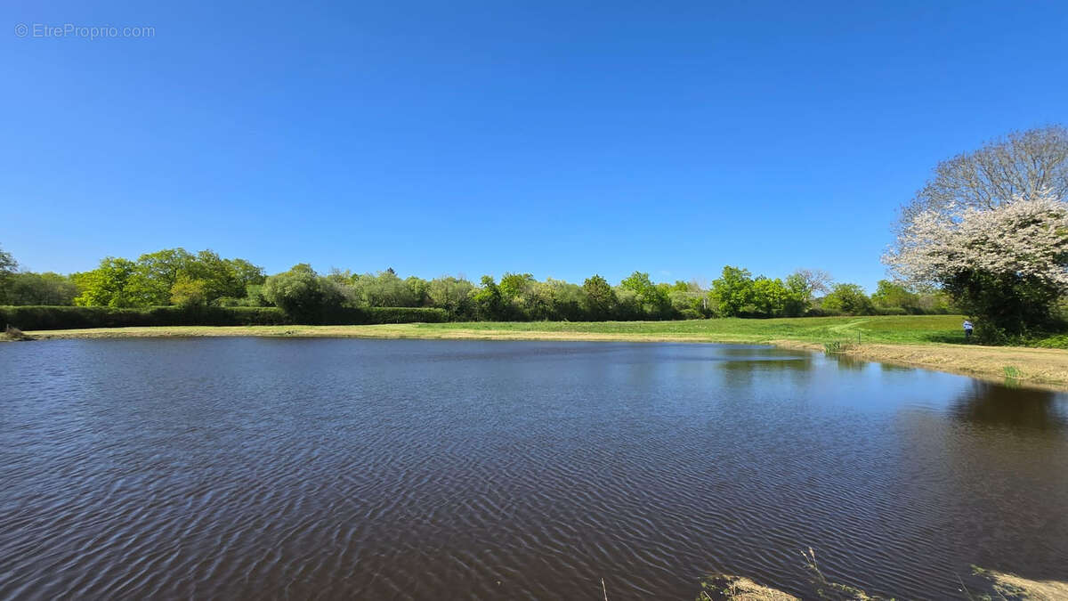 Maison à SAINT-FLORENT-DES-BOIS