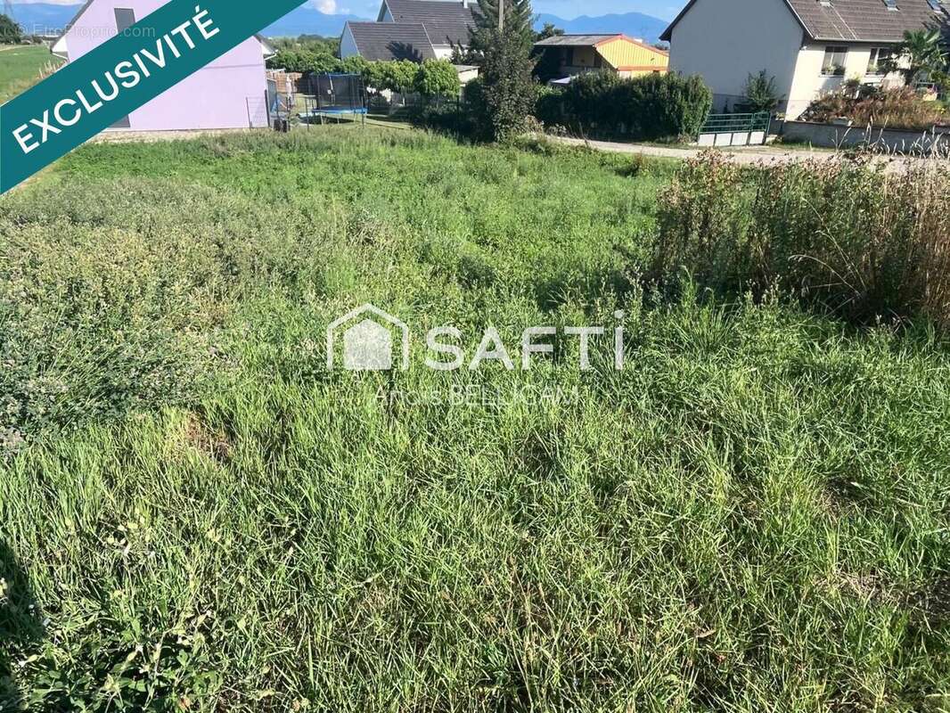 Terrain 502 m² à Balgau  - photo 5