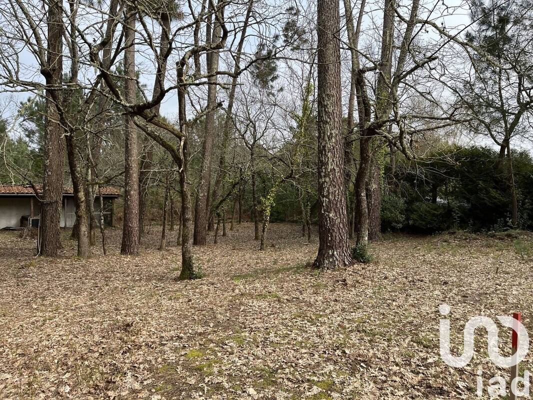 Photo 1 - Terrain à ANDERNOS-LES-BAINS