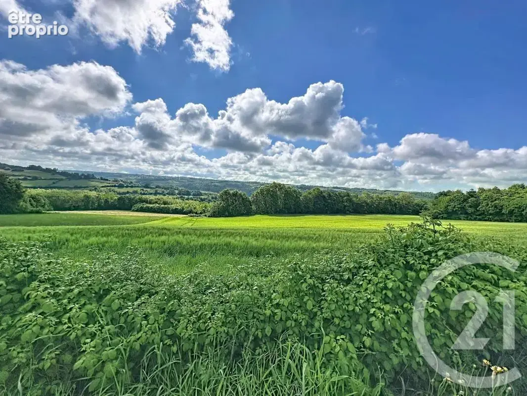 Propriété - photo 17
