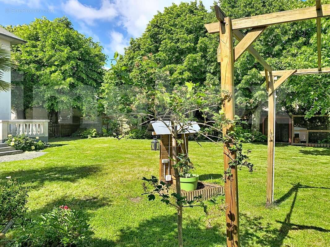 catherine-et-olivier_00004 - Maison à SAINT-GEREON