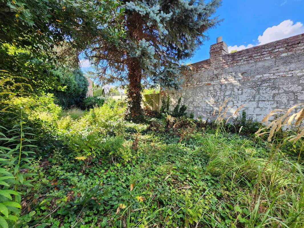 Jardin 1 - Maison à HENIN-BEAUMONT