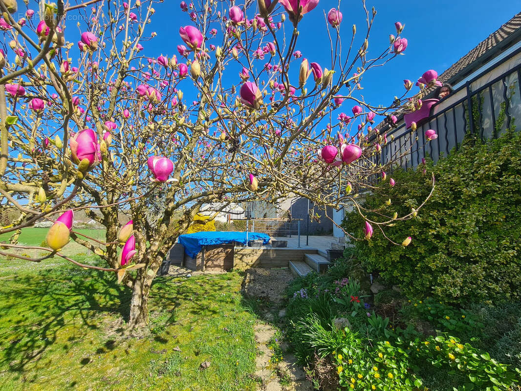 Maison à CHEROY