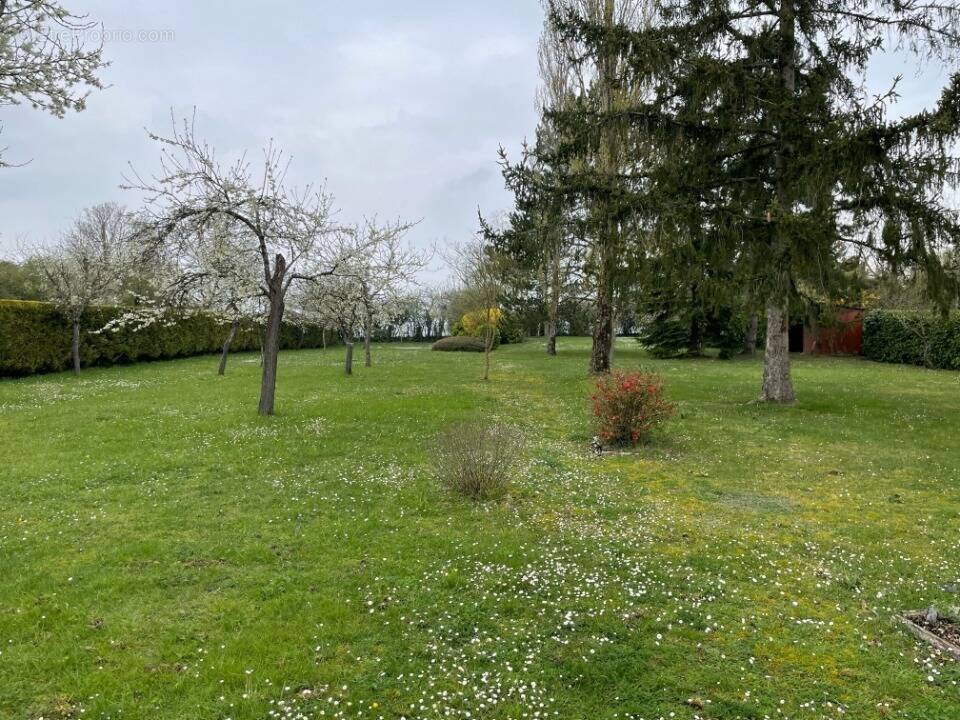 Terrain à ACHERES