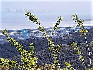 A saisir terrain de 215m2 a vendre a prunelli di fiumorbo! - photo 5