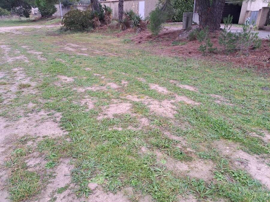 Terrain à LE PUY-SAINTE-REPARADE