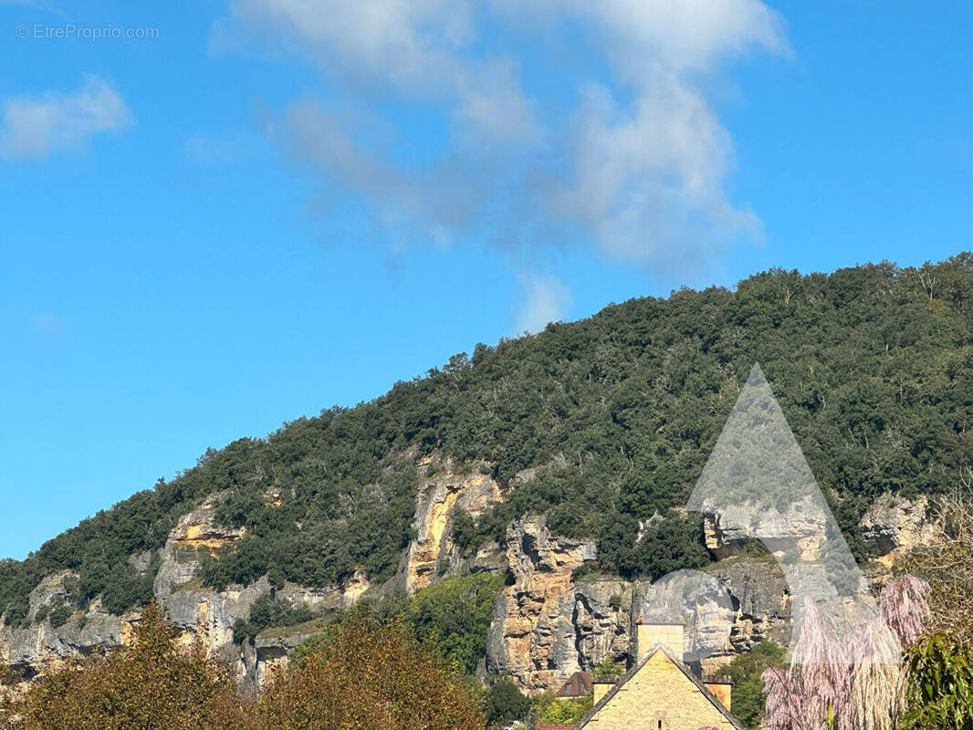 Maison à LA ROQUE-GAGEAC