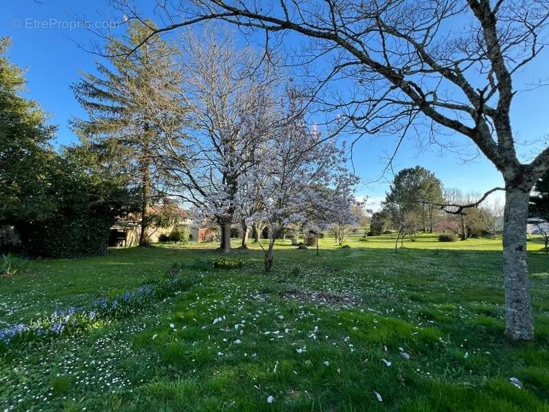 Maison à CHEVANCEAUX