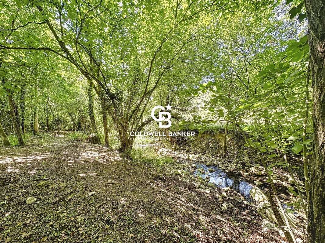 L'Or Bleu de Provence : Bastide de Charme, Source et Rivière Privée Claviers (83830) — Un refuge de nature unique - photo 10