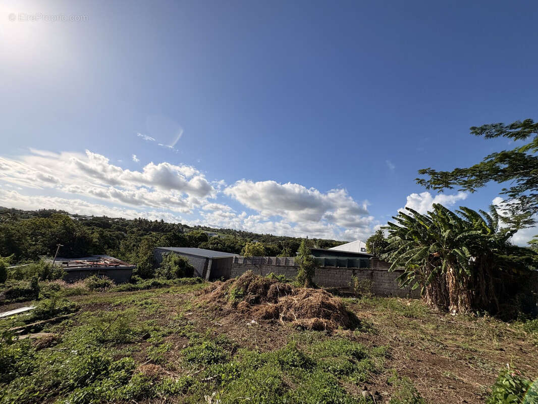 Terrain à SAINT-PIERRE