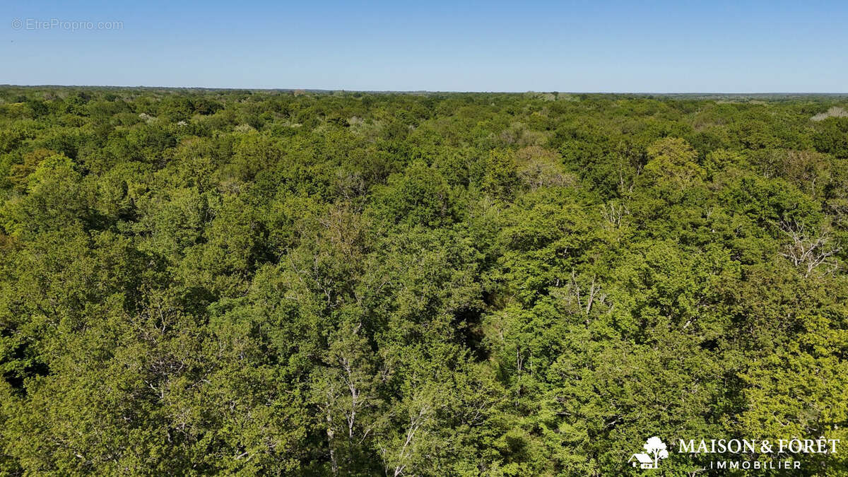 Terrain à OUZOUER-SUR-TREZEE