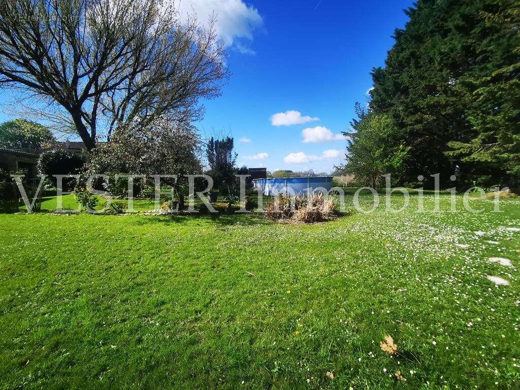 Maison de 250 m², avec 2300m² de terrain et piscine - photo 2