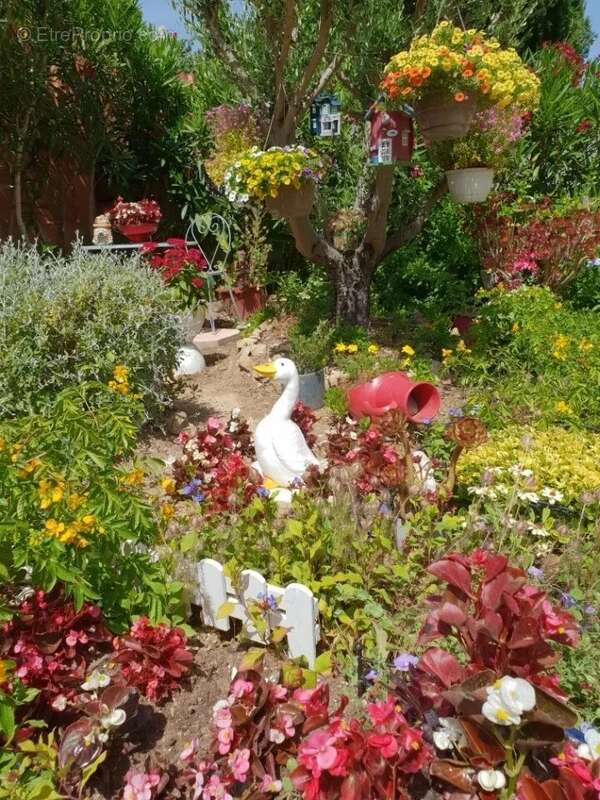 Maison à SANARY-SUR-MER