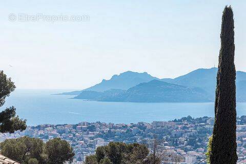 Terrain à LE CANNET