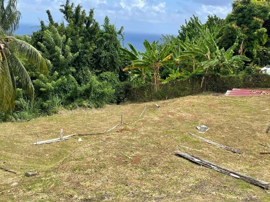 Terrain à LE MARIGOT