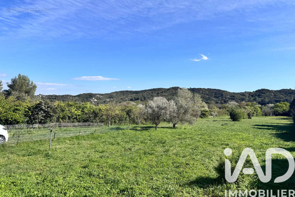 Photo 6 - Maison à PUJAUT