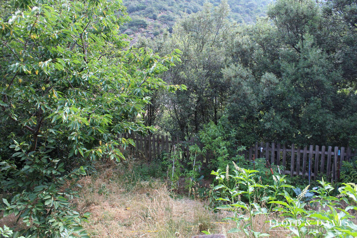 Maison 236 m² à Sorede  - photo 3