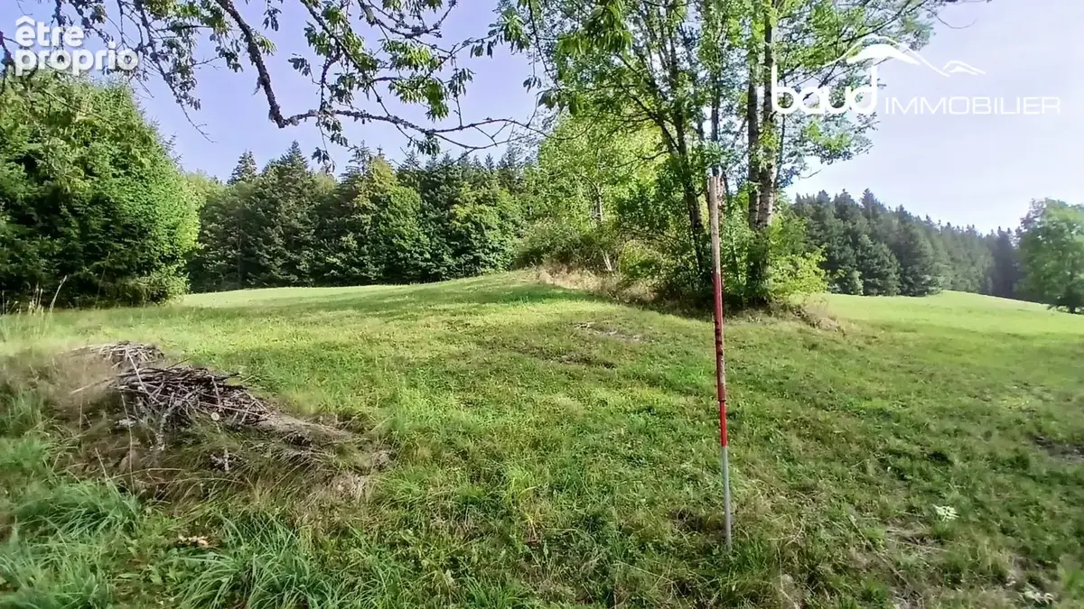 Terrain 1 522 m² à vendre à Villard-De-Lans (38250) - photo 4