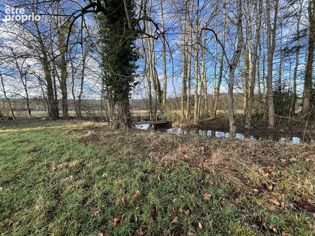 Au coeur du parc national à 9km de CHATILLON SUR SEINE ( 21)  :habitation de 450 M2 avec 1,5HA bord d'eau - photo 12