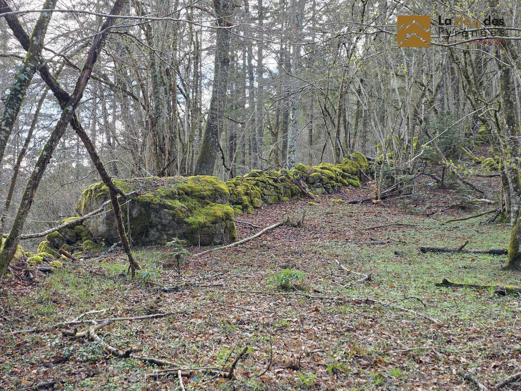 Terrain à ARRAS-EN-LAVEDAN