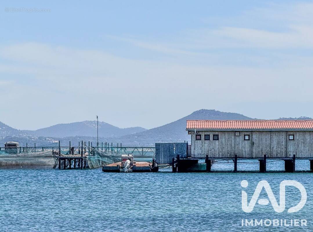 Photo 1 - Appartement à LA SEYNE-SUR-MER