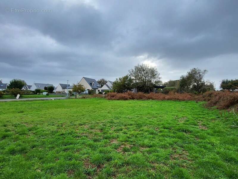Terrain à TREDREZ-LOCQUEMEAU