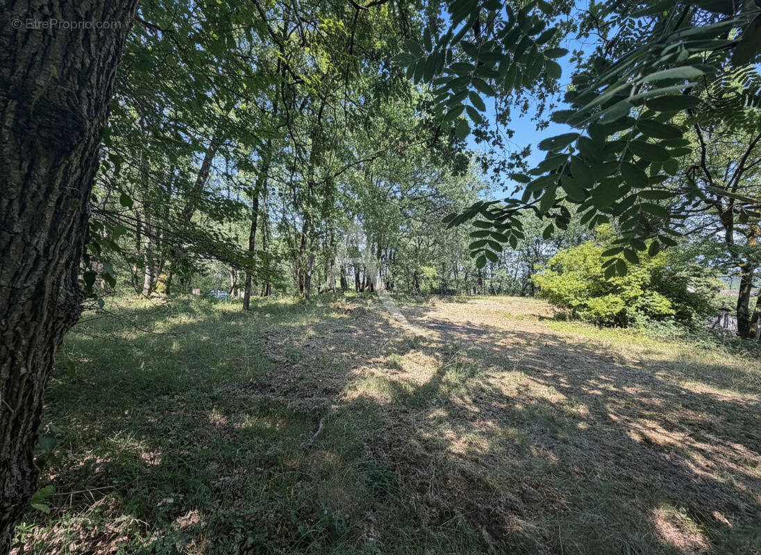 Terrain à MONTJOIRE