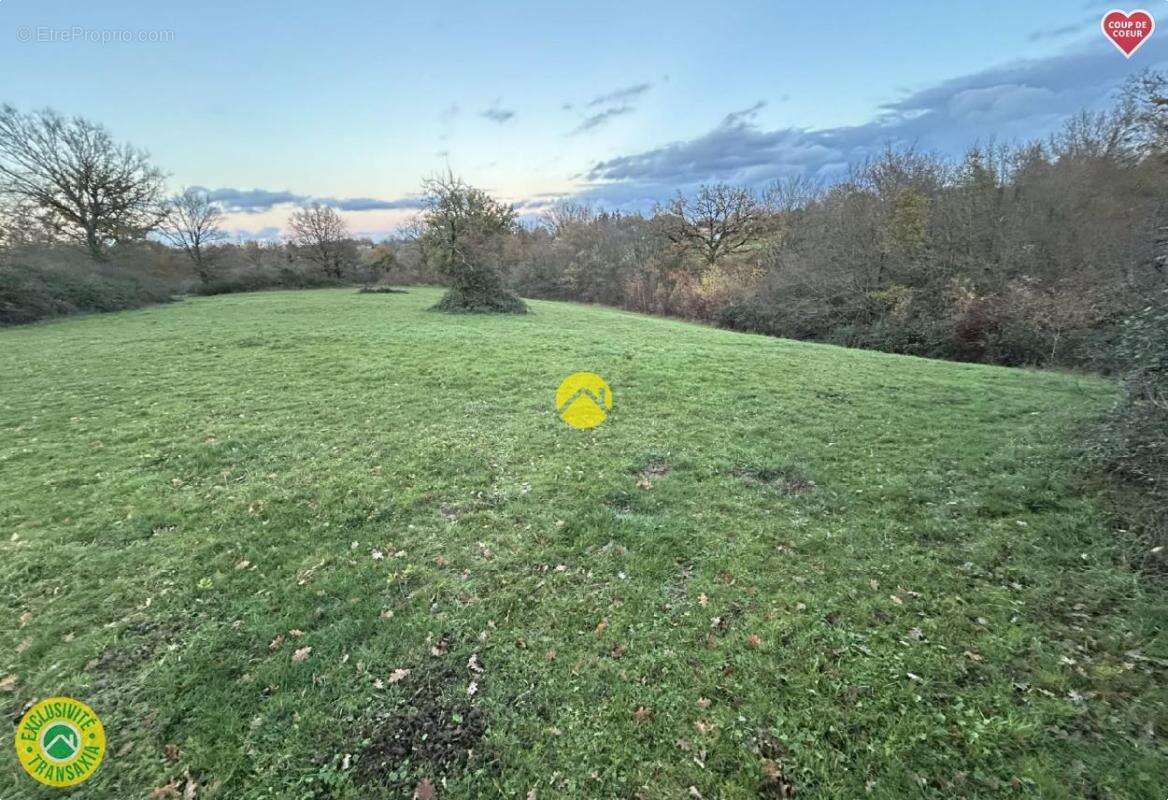 Terrain à BOURBON-L'ARCHAMBAULT