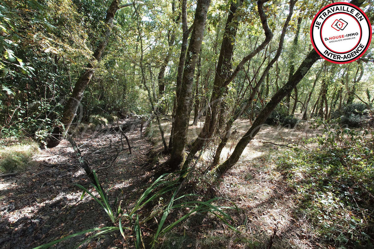 Terrain à SAINT-VIVIEN-DE-MEDOC