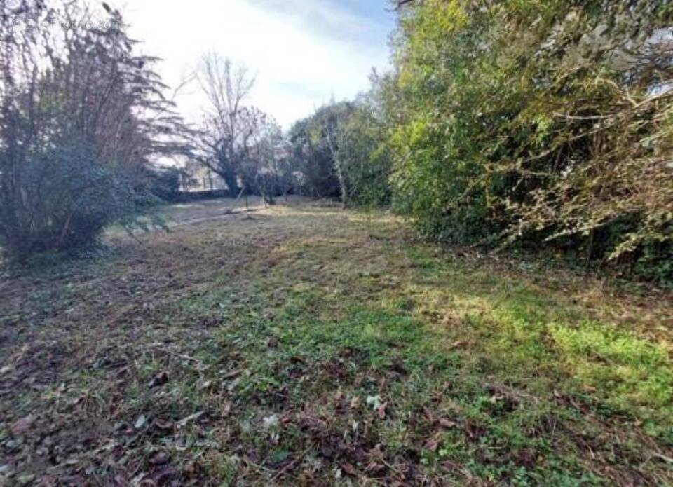 Terrain à RUEIL-MALMAISON