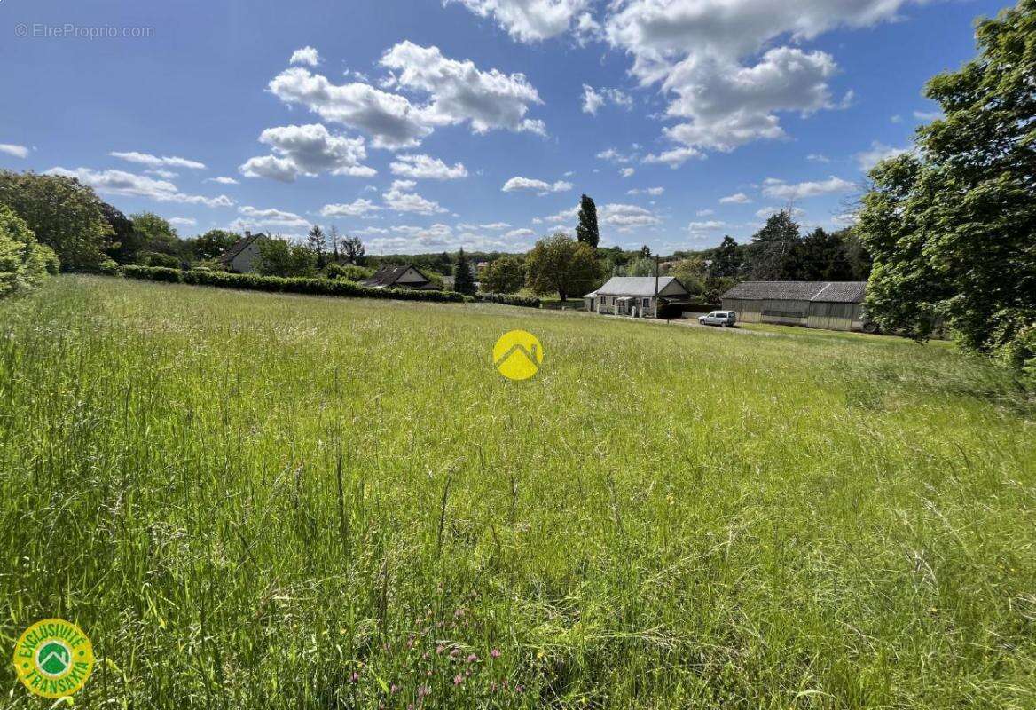 Terrain à CHATEAUNEUF-SUR-CHER