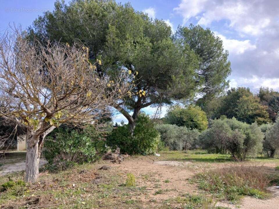 Terrain à VENTABREN