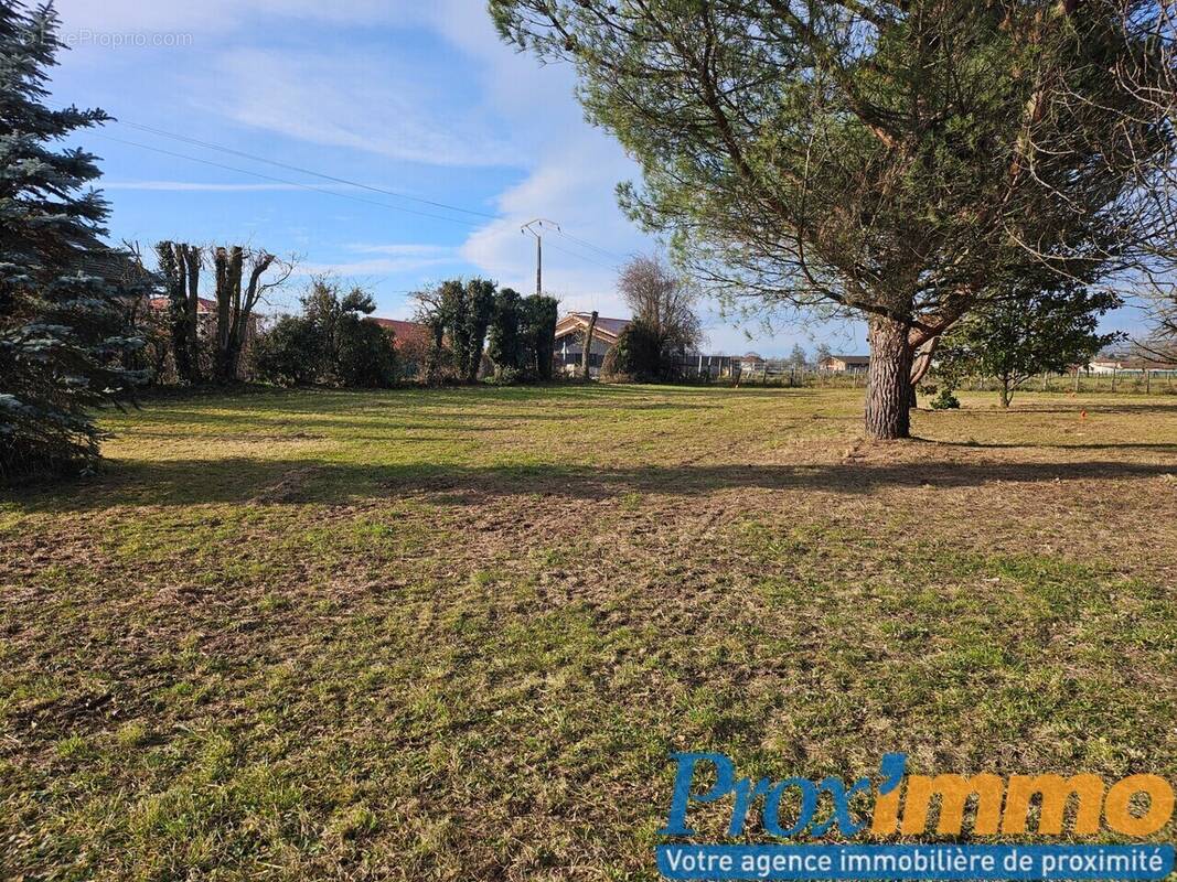 Terrain à LA FRETTE