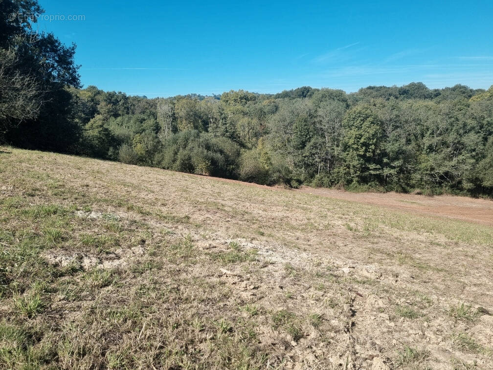Terrain à MOUGUERRE