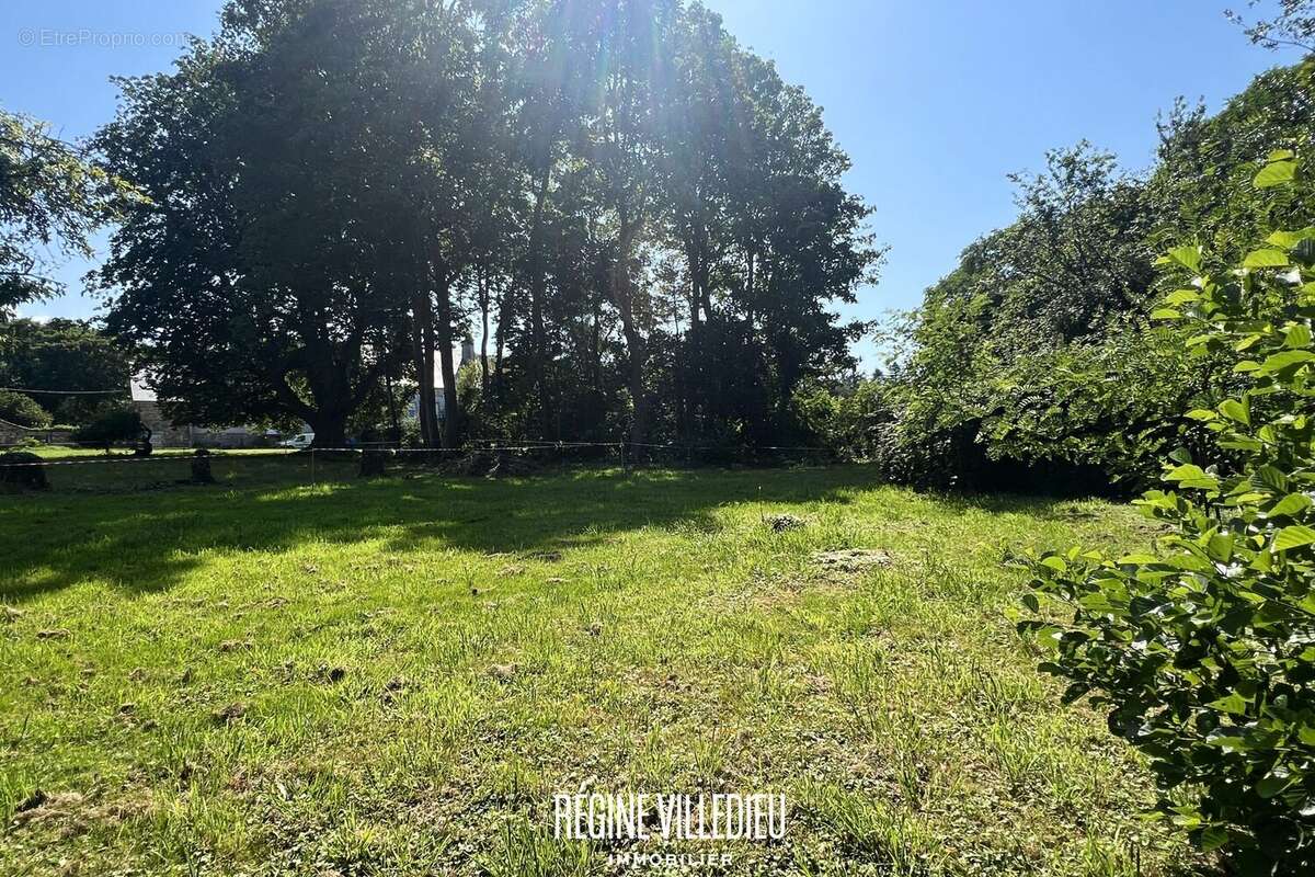 Terrain à TOURLAVILLE