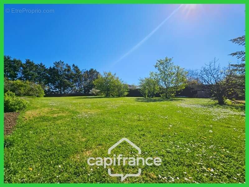 Terrain à BUXEROLLES